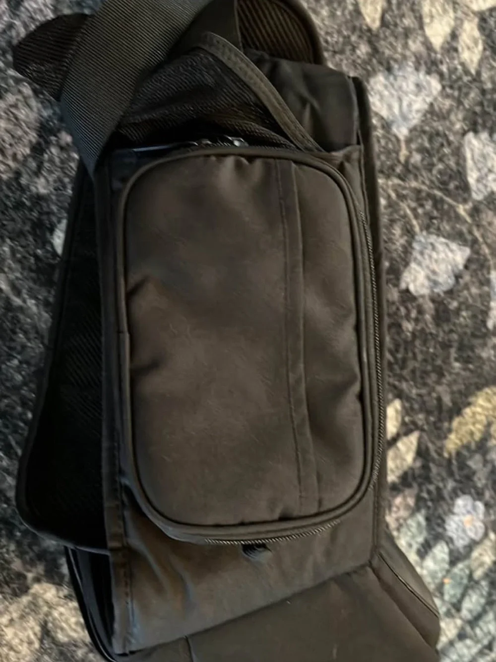 Tushbaby black hip